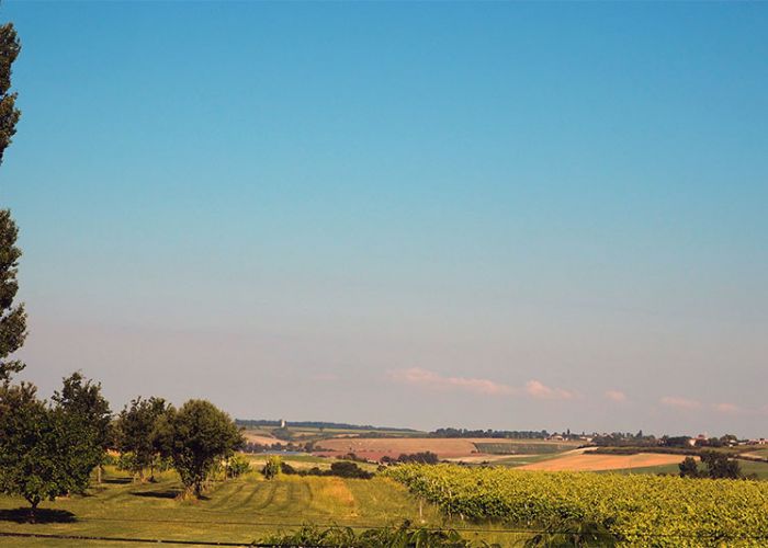 photographie de L'Alambic de l'estuaire