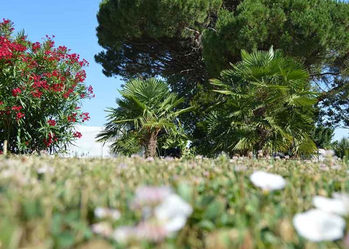photographie de L'Alambic de l'estuaire