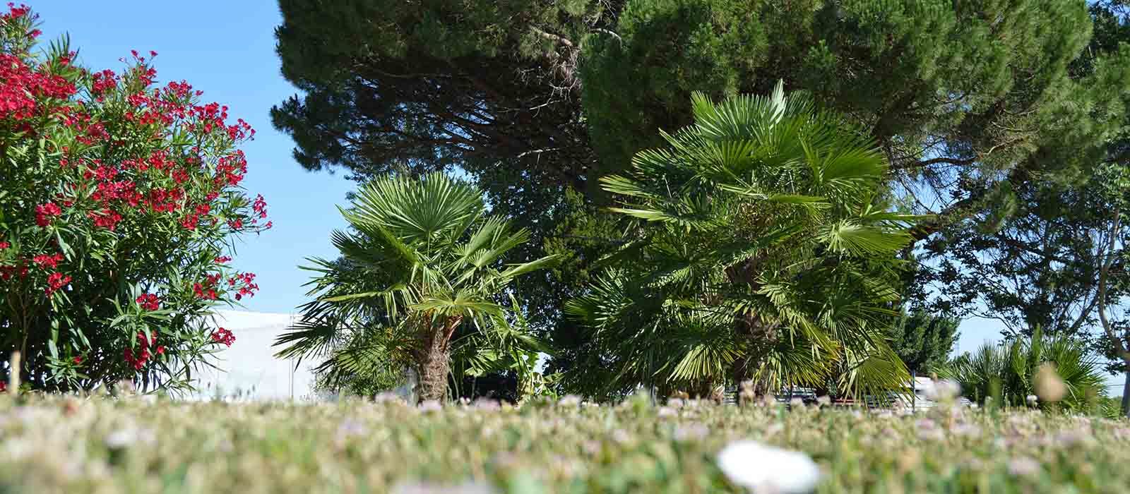 photographie L'Alambic de l'estuaire